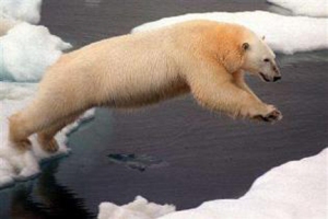 Polar Bear in the Chukchi Sea Sounce Reuters Greenpeace-Beltra