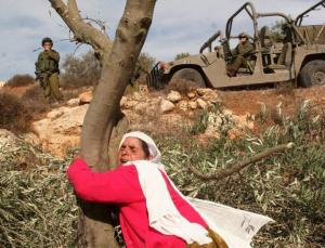 A Palestinian woman clings to one of her olive trees threatened for demolition by the IDF. Source Reuters.