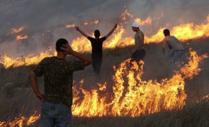 palestinian-protesters-stand-amid-blazes-set-by-settlers-to-their-olive-groves-photo-source-transcend
